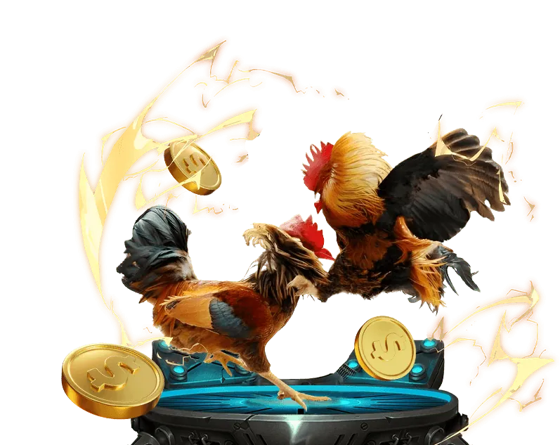 Hình ảnh minh họa các mục đích sử dụng cookie để tối ưu hóa trải nghiệm người dùng và phân tích dữ liệu trên nền tảng cá cược đá gà trực tiếp hôm qua